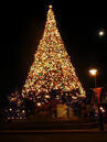 Tokyo Luxury X'mas Night 2011、予約スタート！